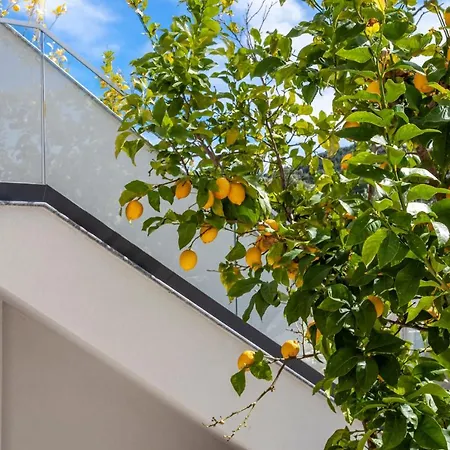 Olia Seaside Residence 120M From The Beach Pefkochori Exterior foto